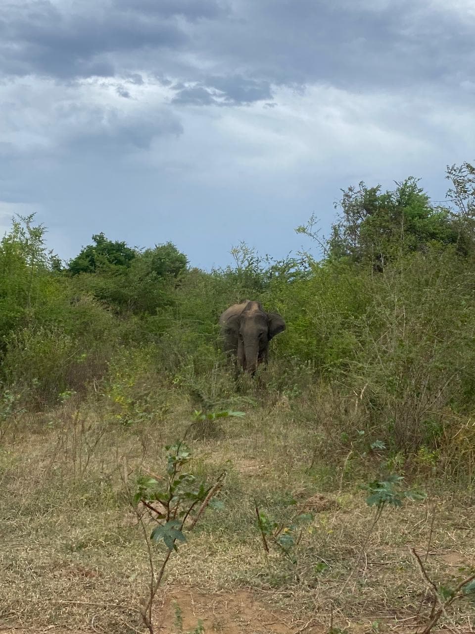 Customers - Image 56