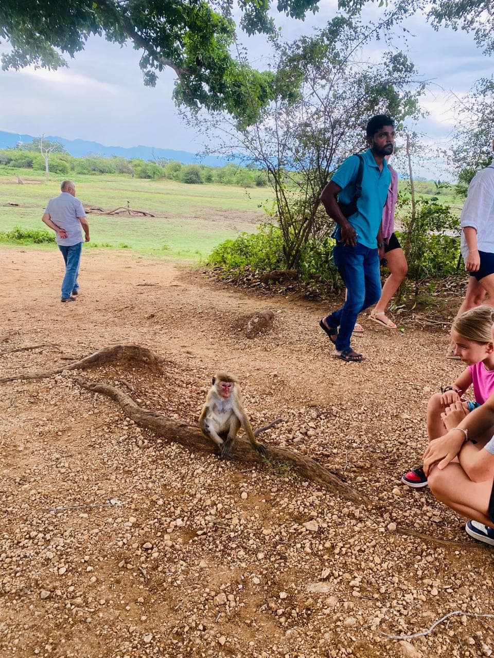 Destinations - Image 62