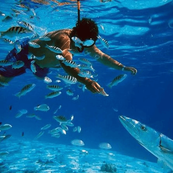 Udawalawe to Hikkaduwa