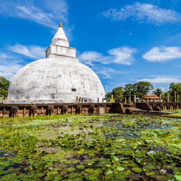 Udawalawe to Tissamaharama